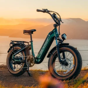 Denago Hi Roller Step-thru eBike